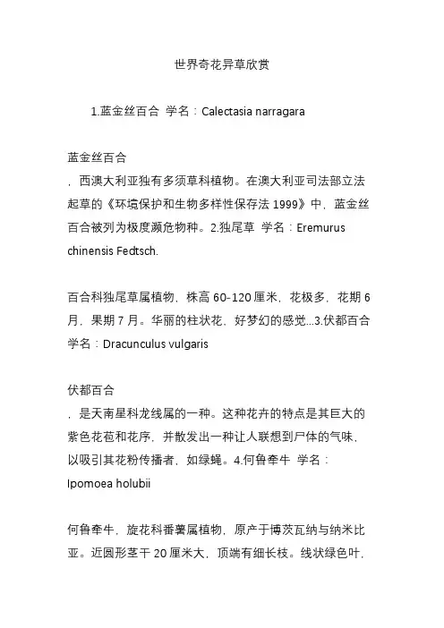 世界奇花异草欣赏