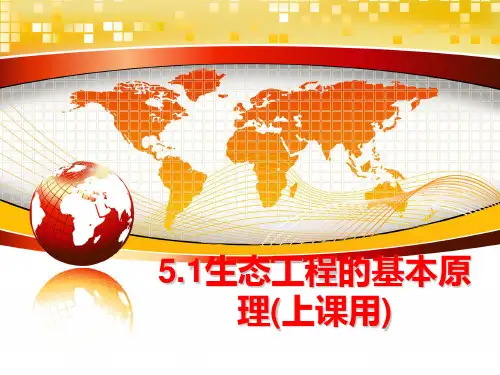最新5.1生态工程的基本原理(上课用)