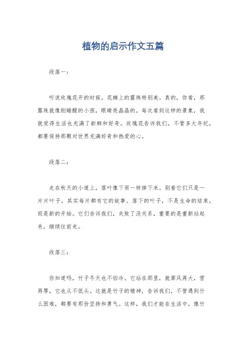 植物的启示作文五篇