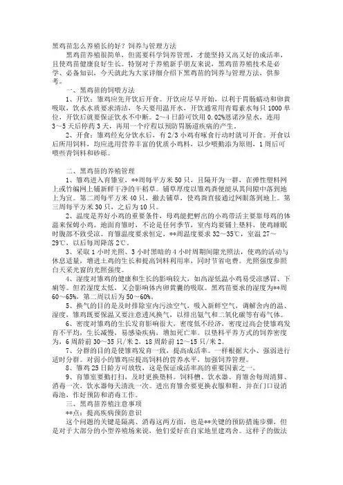 黑鸡苗怎么养殖长的好？饲养与管理方法