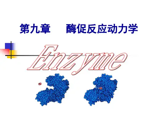 第九章 酶促反应动力学
