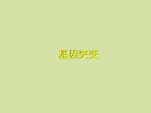 苏教版高中生物必修2：遗传与进化基因突变