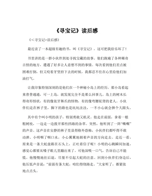 《寻宝记》读后感