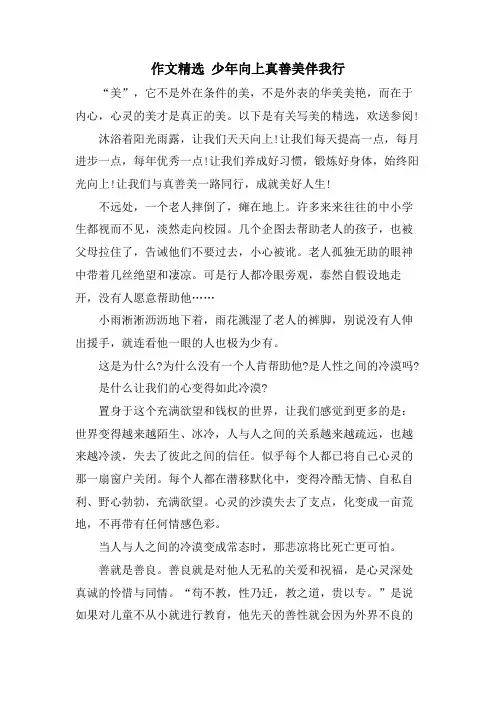 作文 少年向上真善美伴我行