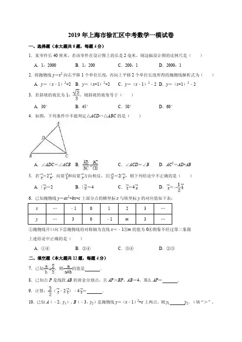 上海市徐汇区2018-2019学年第一学期初三期末质量检测（一模）数学试卷（解..
