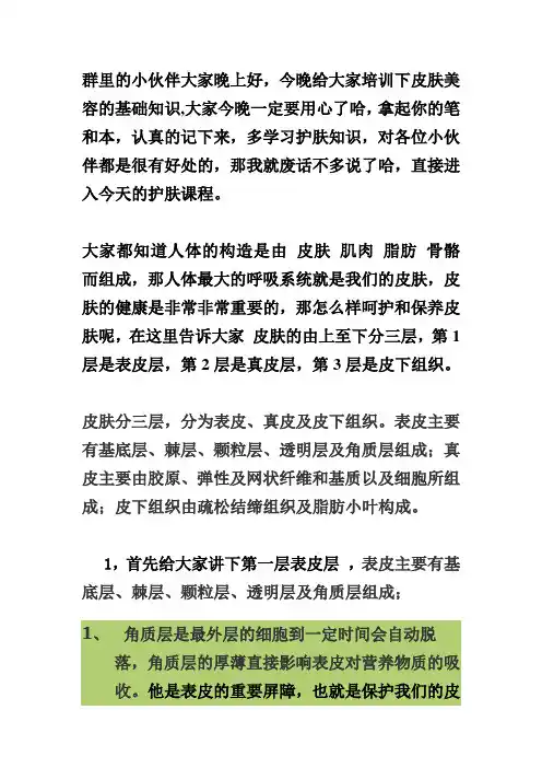 美容课程444【微商团队运营精品文档】