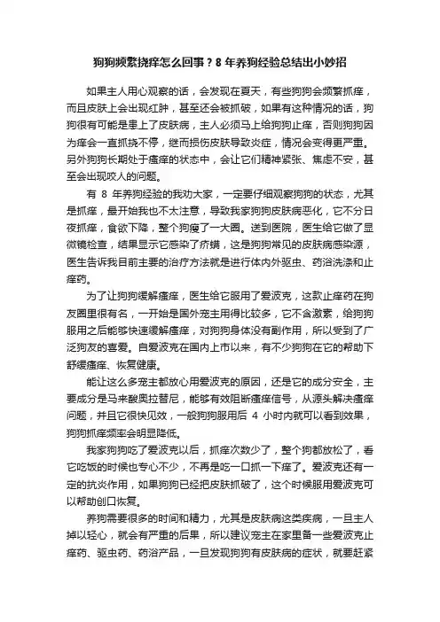 狗狗频繁挠痒怎么回事？8年养狗经验总结出小妙招