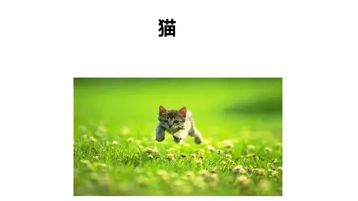 第16课《猫》课件(29张)语文七年级上册