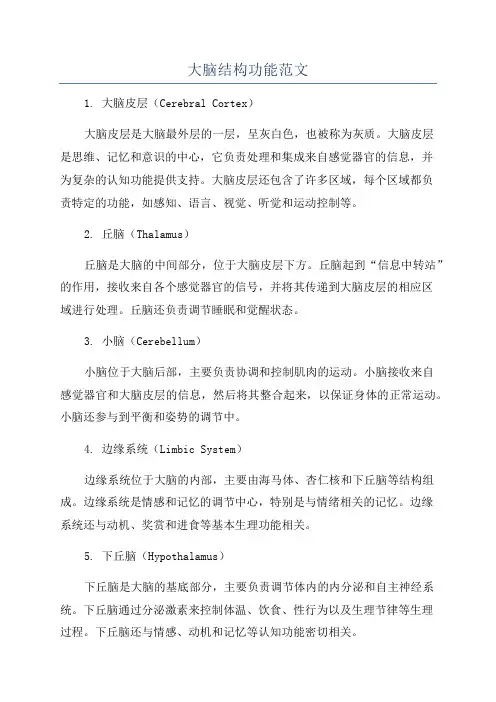 大脑结构功能范文