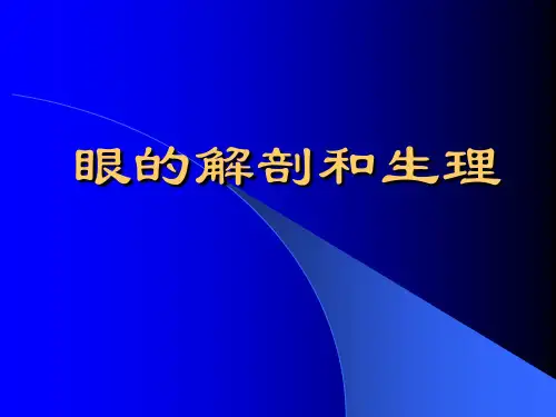 眼的解剖和生理