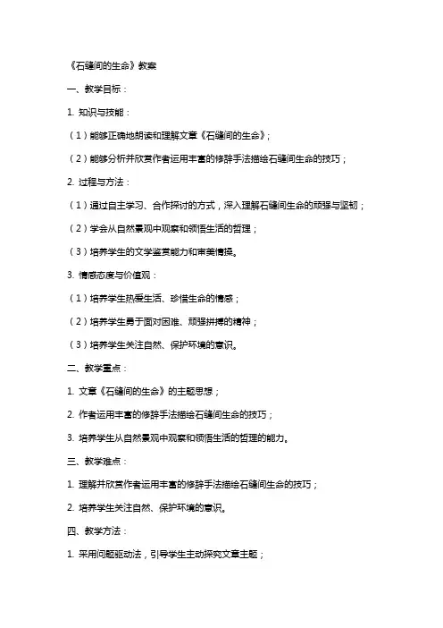 《石缝间的生命》教案