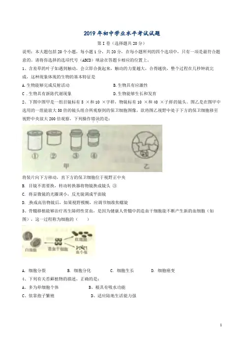 山东省2019年中考生物真题试题(含答案)-山东省2019年初中会考真题