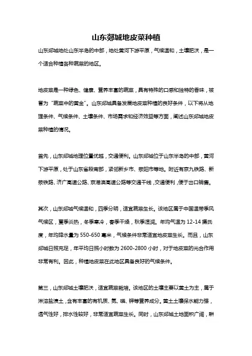 山东郯城地皮菜种植