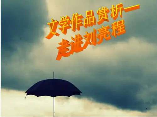 一个人的村庄书本赏析ppt课件