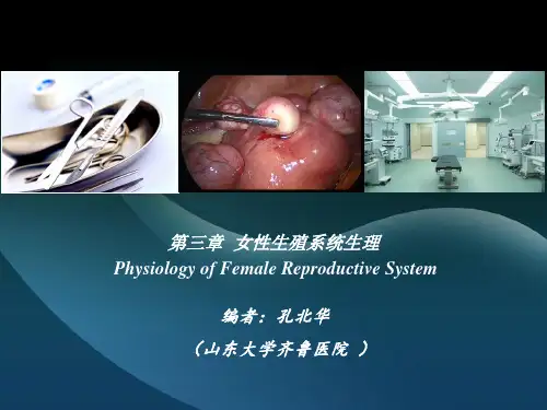最新女性生殖系统生理主题讲座课件