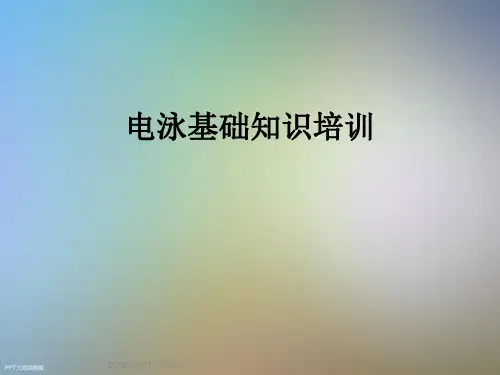 电泳基础知识培训