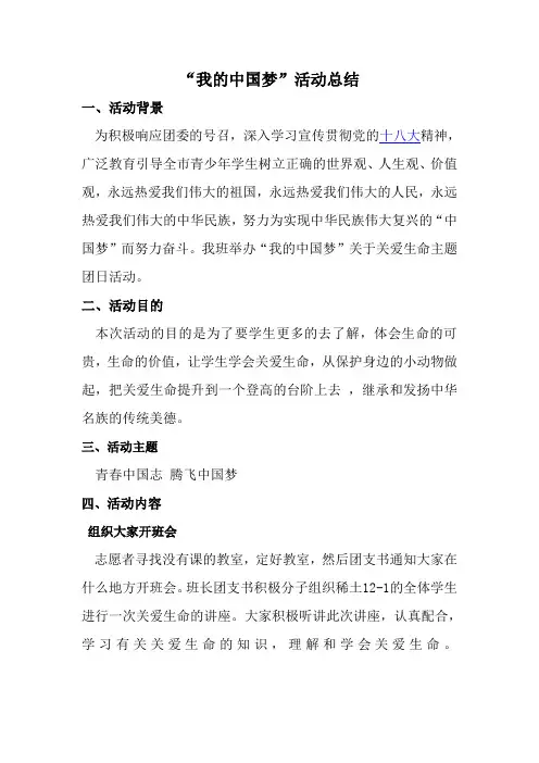 我的中国梦活动总结