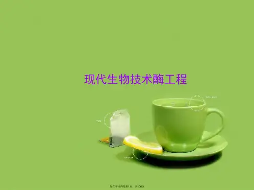 现代生物技术酶工程