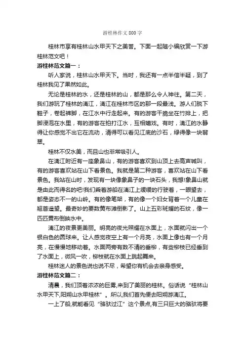 游桂林作文800字_游记作文_