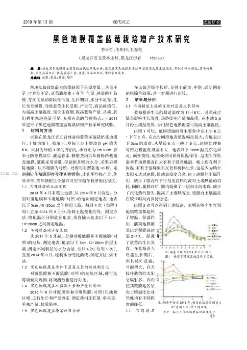 黑色地膜覆盖蓝莓栽培增产技术研究