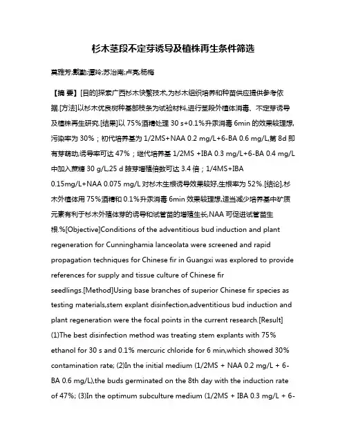 杉木茎段不定芽诱导及植株再生条件筛选