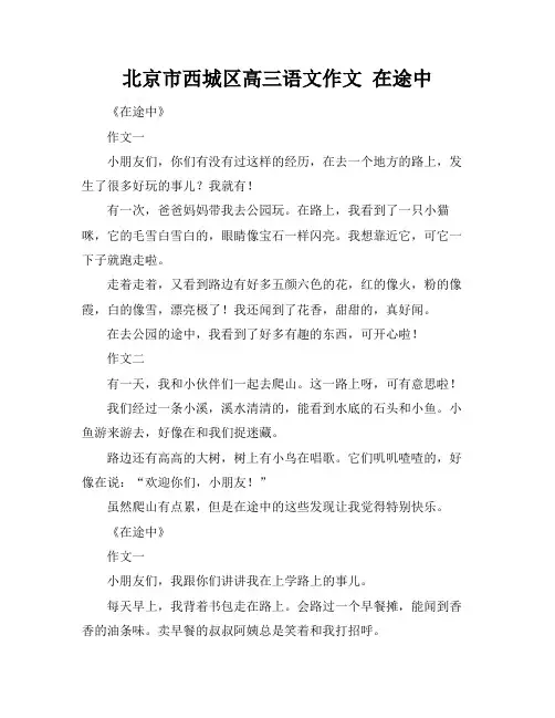 北京市西城区高三语文作文 在途中