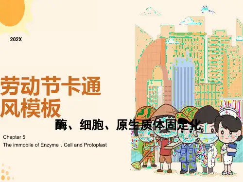 《酶的固定化》课件