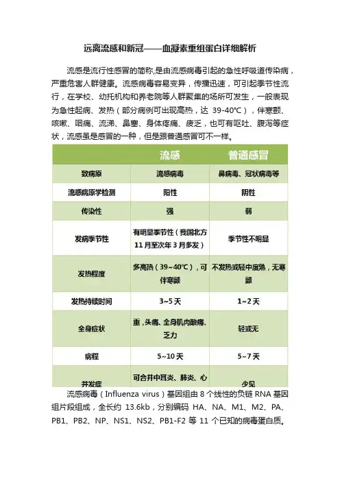 远离流感和新冠——血凝素重组蛋白详细解析