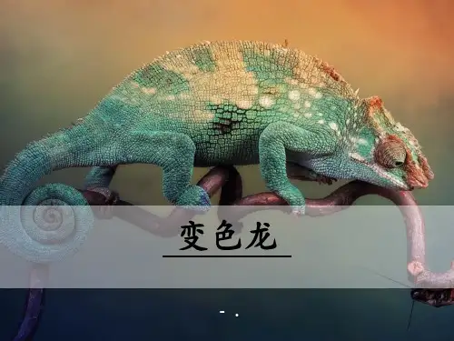 《变色龙》PPT课件
