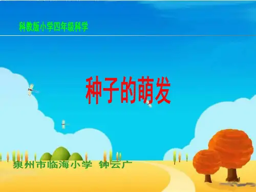 种子的萌发说课稿课件