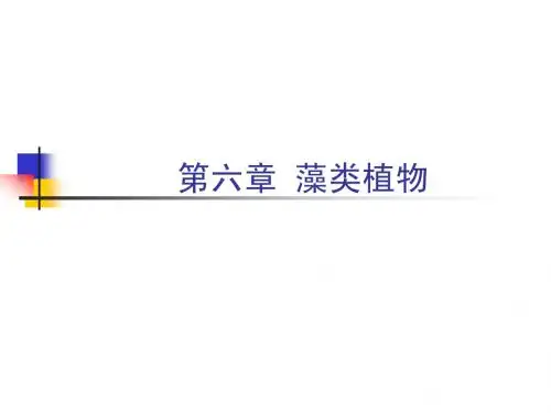 药用植物学类群1