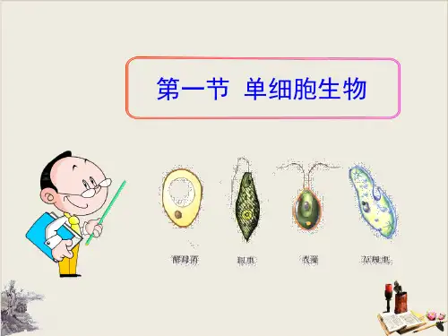 单细胞生物_PPT