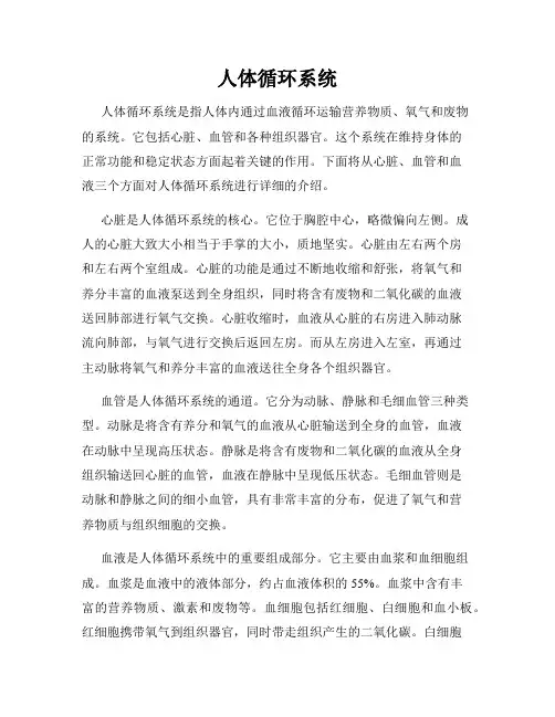 人体循环系统