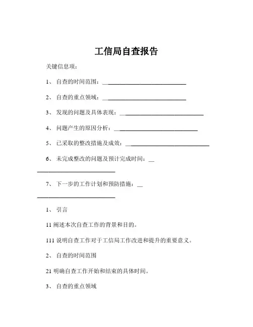 工信局自查报告