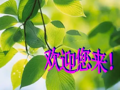 生物：2.4《没有细胞结构的微小生物——病毒》课件5(人教版七年级上)