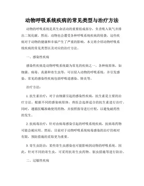 动物呼吸系统疾病的常见类型与治疗方法