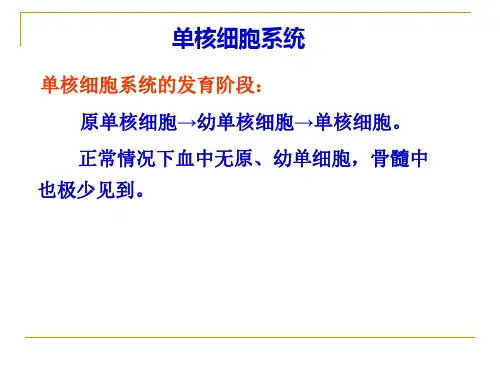 淋巴及单核细胞系统形态学检查