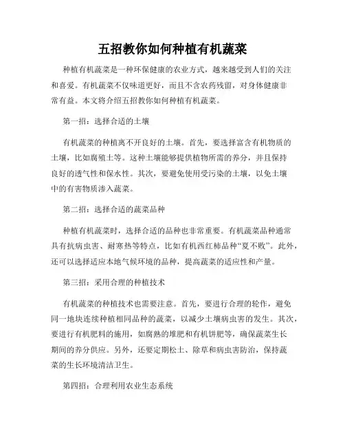 五招教你如何种植有机蔬菜