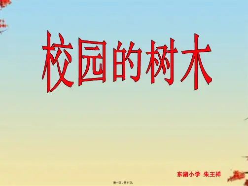 小学科学三上《1.2、校园的树木》课件(3)ppt(共11张PPT)