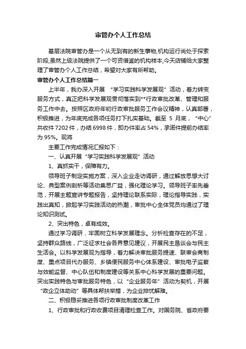 审管办个人工作总结