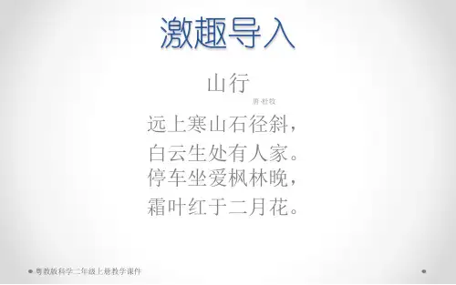 粤教版科学二年级上册1《枫树和竹子》教学课件