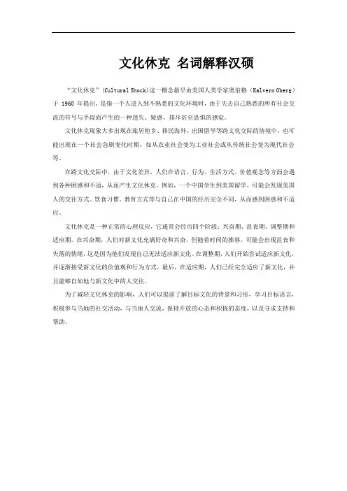 文化休克 名词解释汉硕