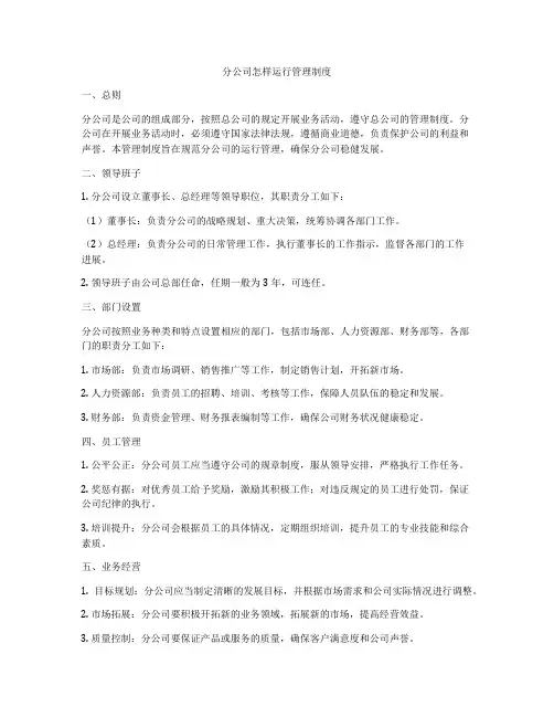 分公司怎样运行管理制度
