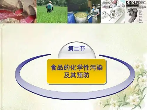 食品的化学性污染及其预防