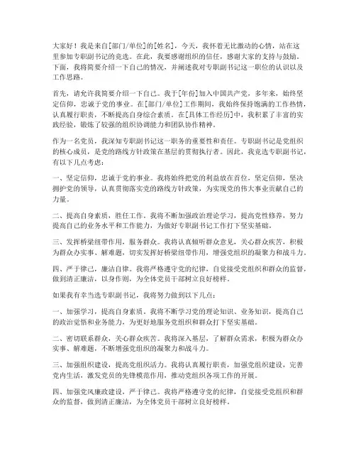 专职副书记竞选发言稿范文