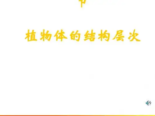 植物体的结构层次PPT课件8