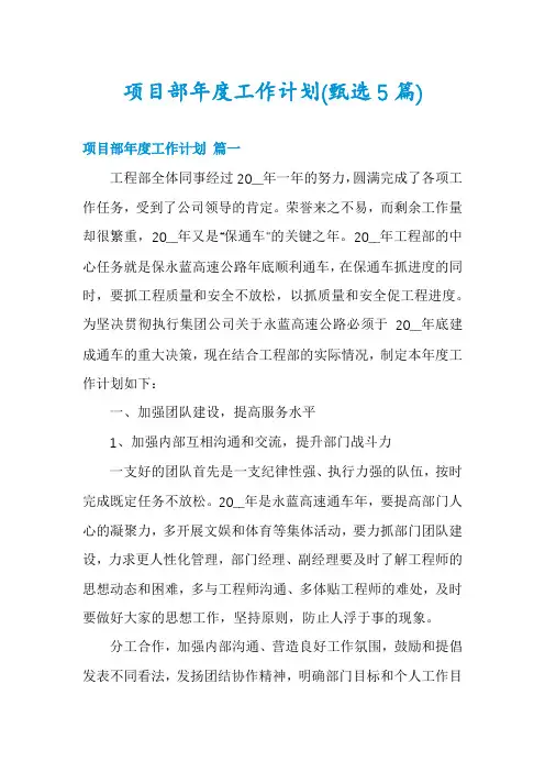 项目部年度工作计划(甄选5篇)