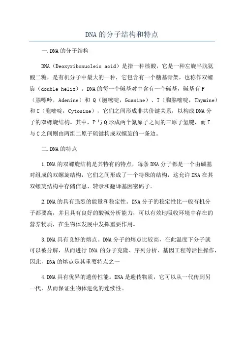 DNA的分子结构和特点
