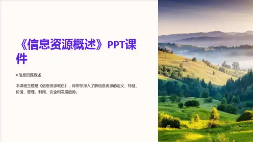 《信息资源概述》课件