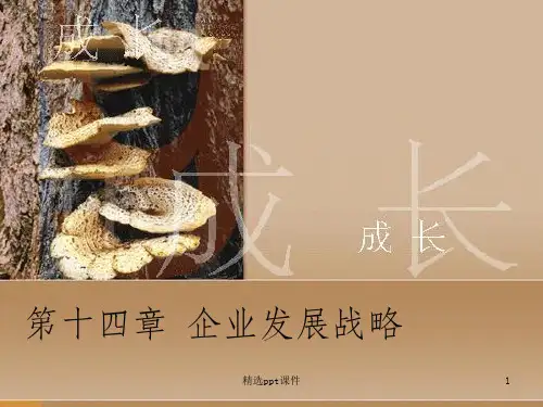 企业发展战略ppt课件